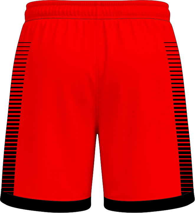 COLLEGIATE CUT SHORTS C 2 BACK